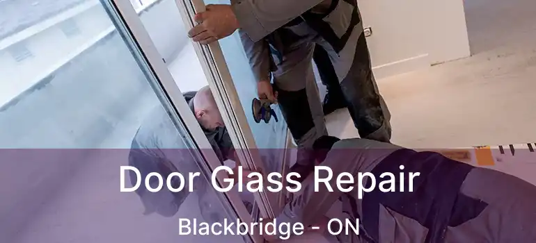  Door Glass Repair Blackbridge - ON