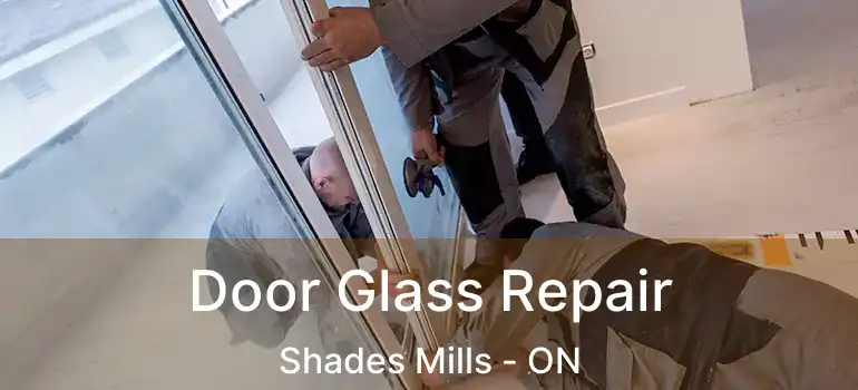  Door Glass Repair Shades Mills - ON