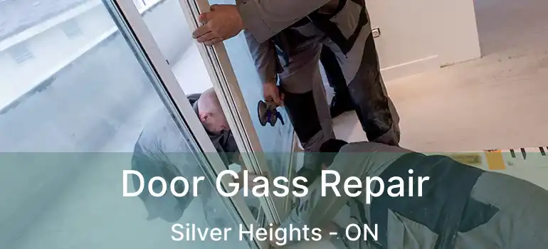  Door Glass Repair Silver Heights - ON