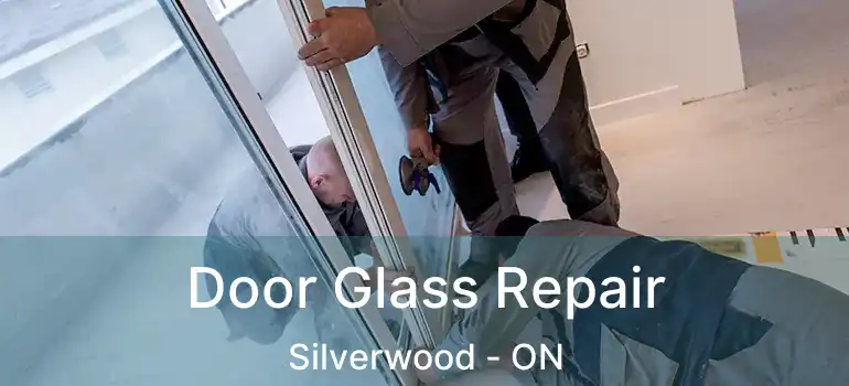  Door Glass Repair Silverwood - ON