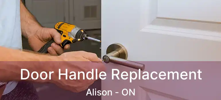  Door Handle Replacement Alison - ON