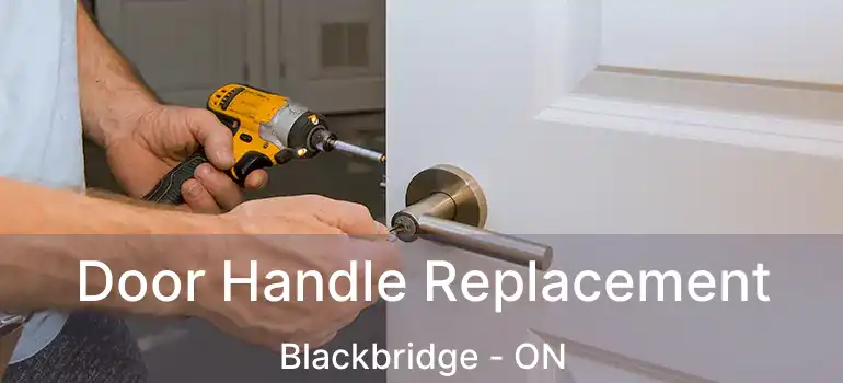  Door Handle Replacement Blackbridge - ON