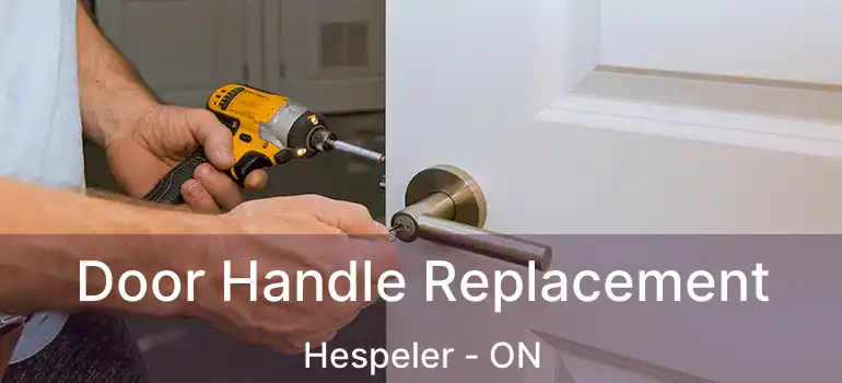  Door Handle Replacement Hespeler - ON