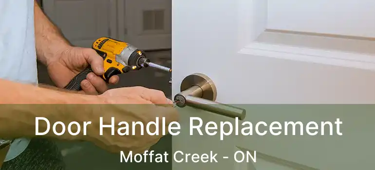  Door Handle Replacement Moffat Creek - ON