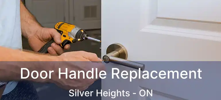  Door Handle Replacement Silver Heights - ON