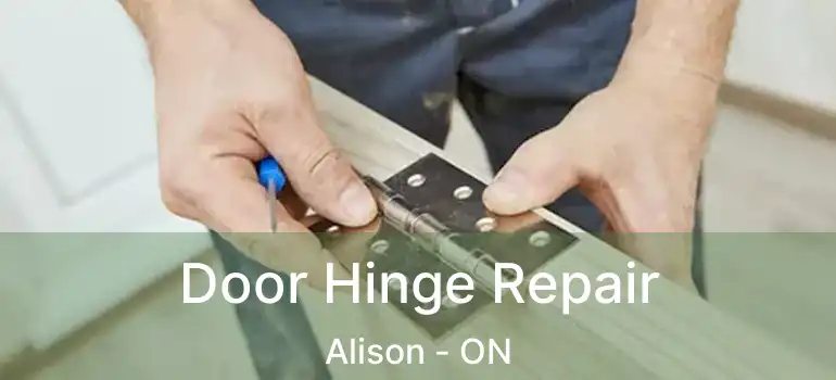  Door Hinge Repair Alison - ON