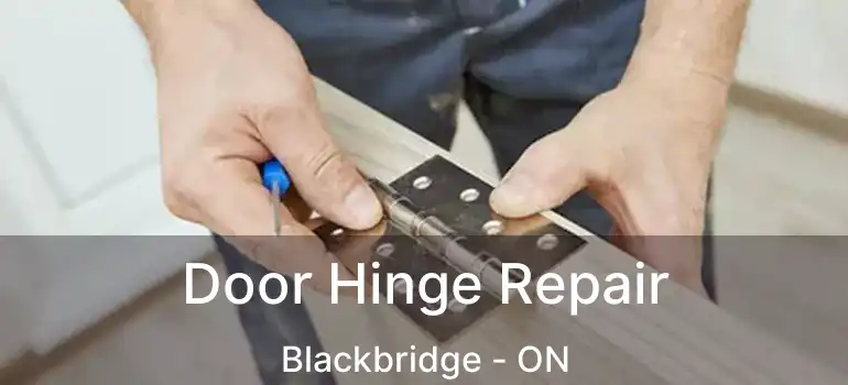  Door Hinge Repair Blackbridge - ON