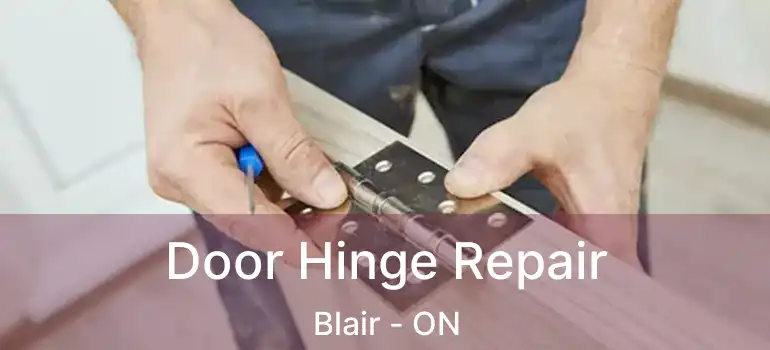  Door Hinge Repair Blair - ON