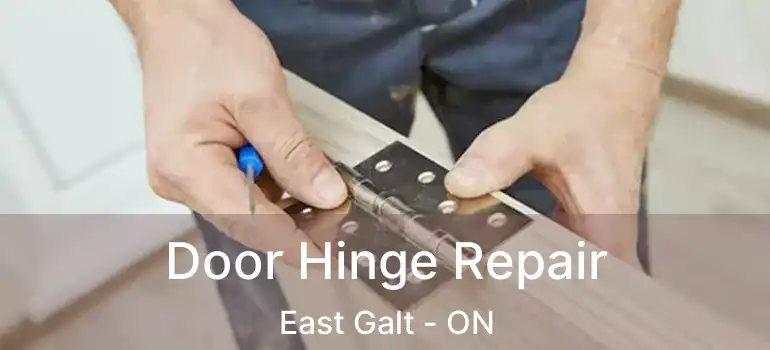  Door Hinge Repair East Galt - ON