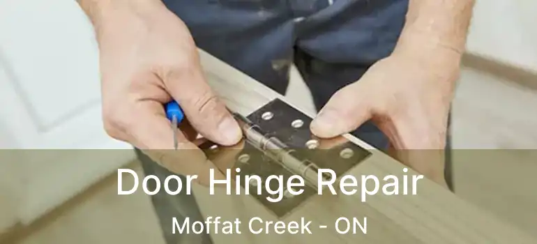  Door Hinge Repair Moffat Creek - ON