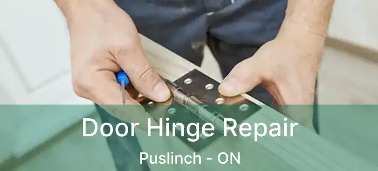  Door Hinge Repair Puslinch - ON