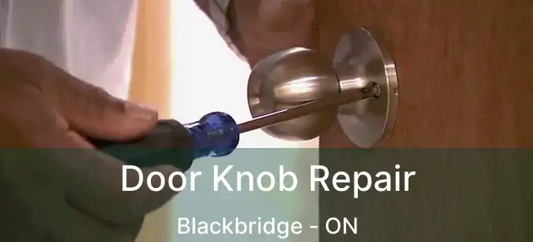  Door Knob Repair Blackbridge - ON
