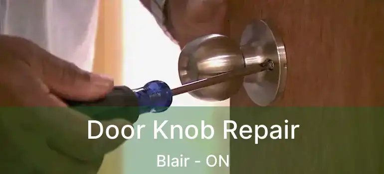  Door Knob Repair Blair - ON