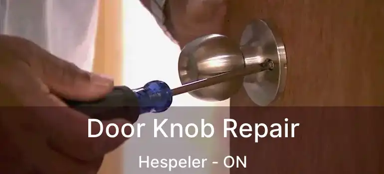  Door Knob Repair Hespeler - ON