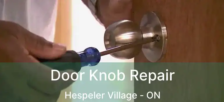  Door Knob Repair Hespeler Village - ON