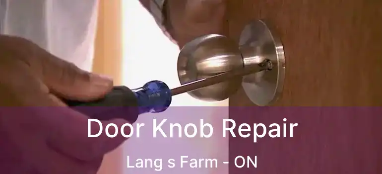  Door Knob Repair Lang s Farm - ON