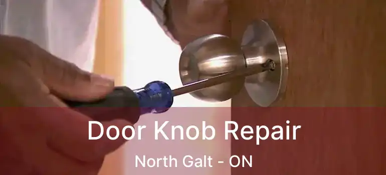  Door Knob Repair North Galt - ON