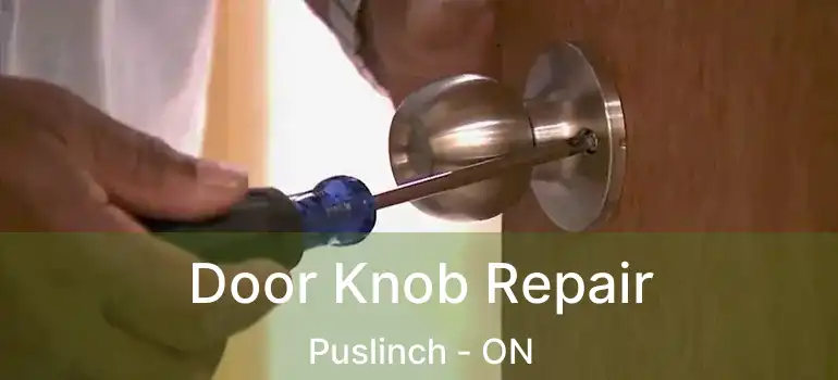  Door Knob Repair Puslinch - ON