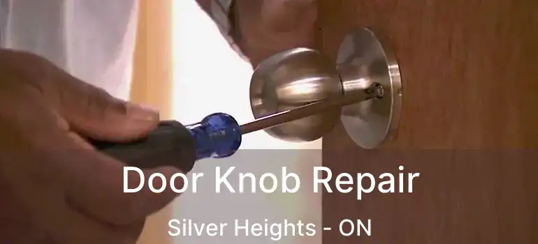  Door Knob Repair Silver Heights - ON