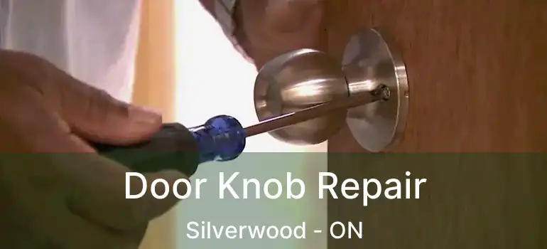  Door Knob Repair Silverwood - ON