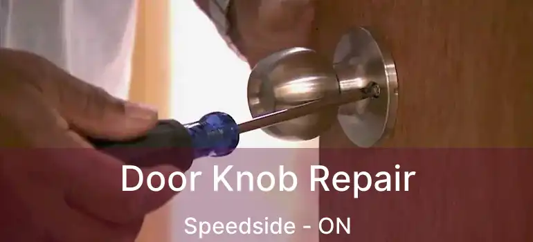  Door Knob Repair Speedside - ON