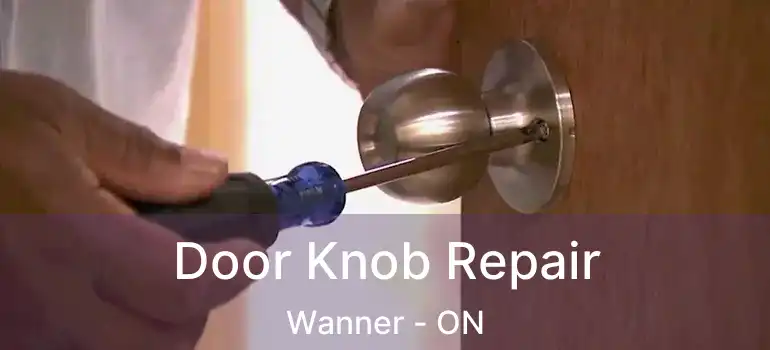  Door Knob Repair Wanner - ON