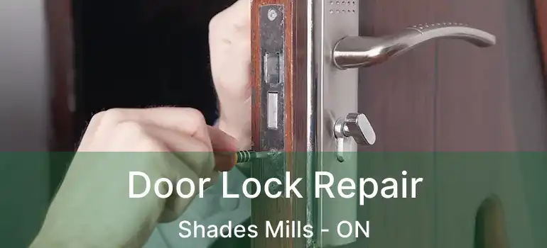  Door Lock Repair Shades Mills - ON