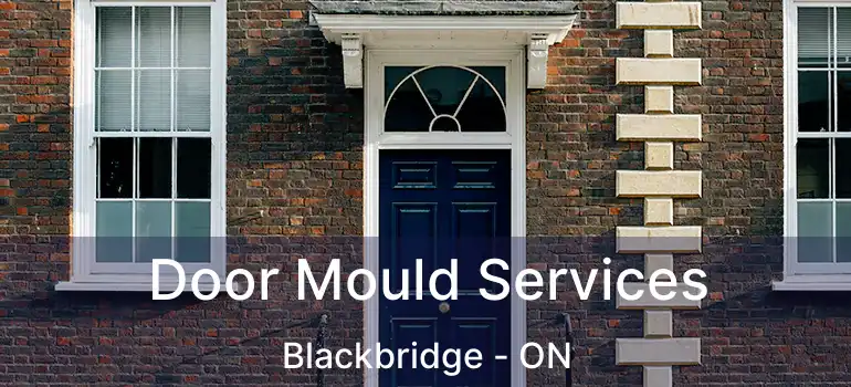  Door Mould Services Blackbridge - ON