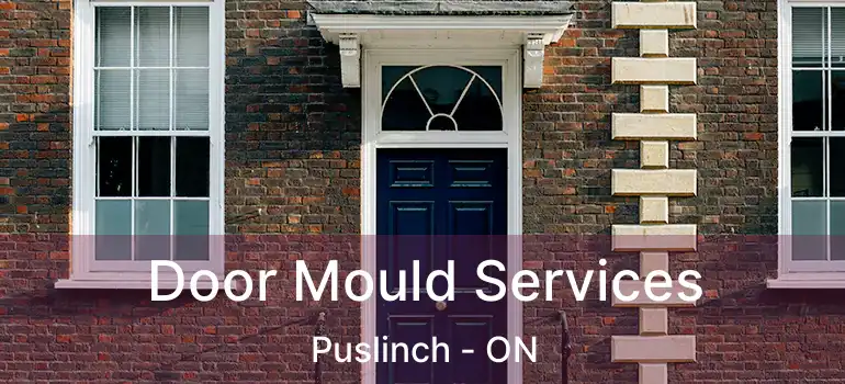  Door Mould Services Puslinch - ON