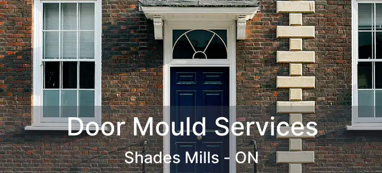  Door Mould Services Shades Mills - ON