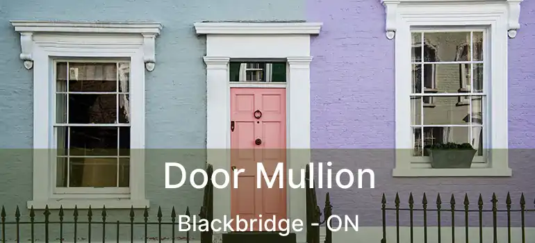  Door Mullion Blackbridge - ON