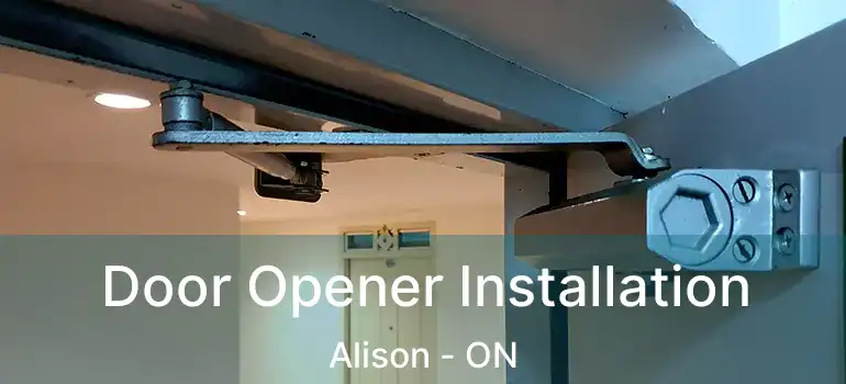  Door Opener Installation Alison - ON