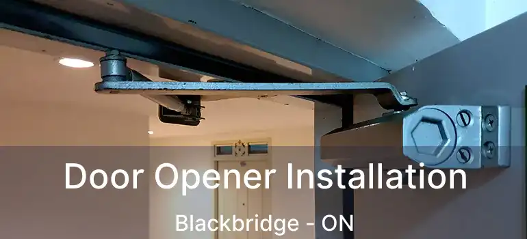  Door Opener Installation Blackbridge - ON