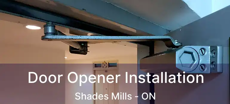  Door Opener Installation Shades Mills - ON