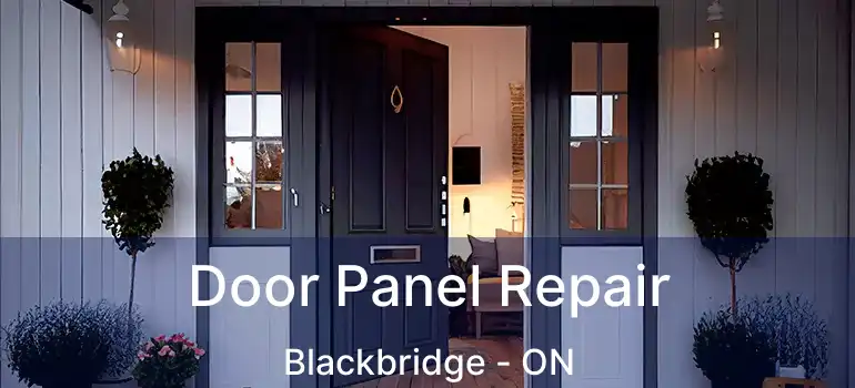  Door Panel Repair Blackbridge - ON