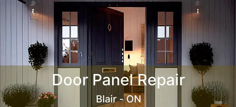  Door Panel Repair Blair - ON