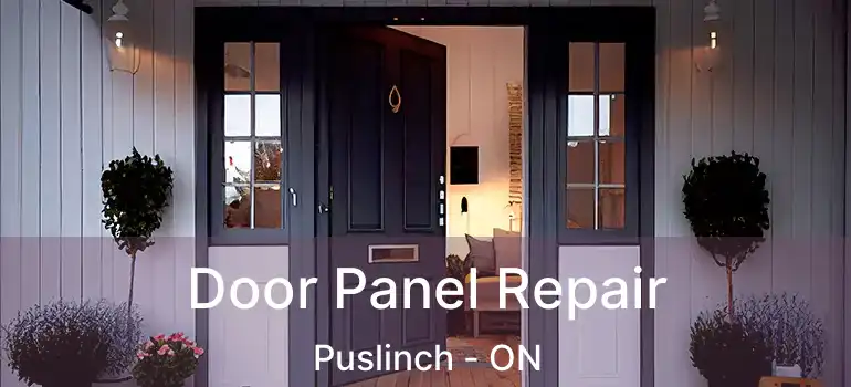  Door Panel Repair Puslinch - ON