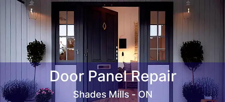  Door Panel Repair Shades Mills - ON