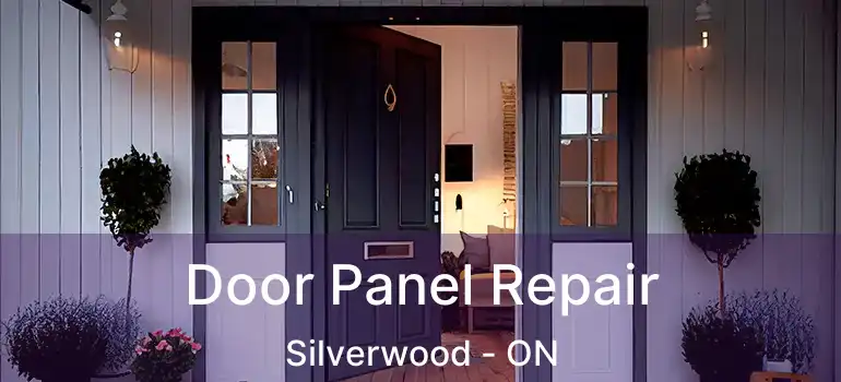  Door Panel Repair Silverwood - ON