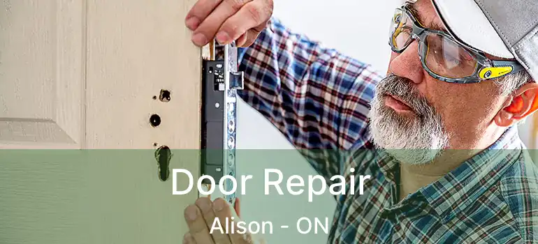  Door Repair Alison - ON