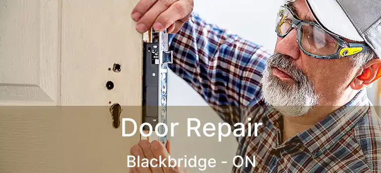  Door Repair Blackbridge - ON