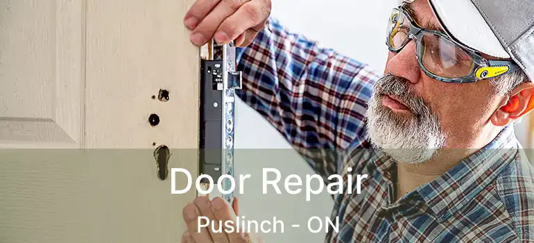 Door Repair Puslinch - ON