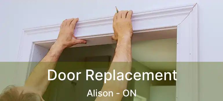  Door Replacement Alison - ON