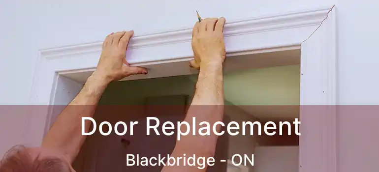  Door Replacement Blackbridge - ON