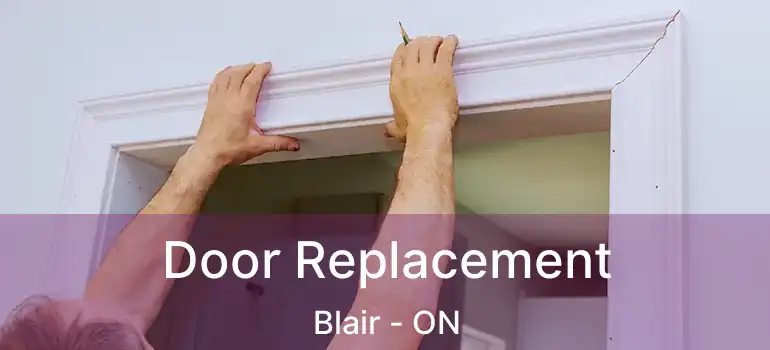  Door Replacement Blair - ON