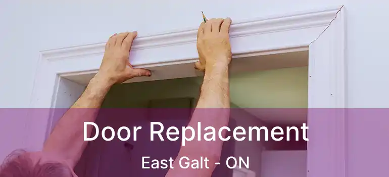  Door Replacement East Galt - ON