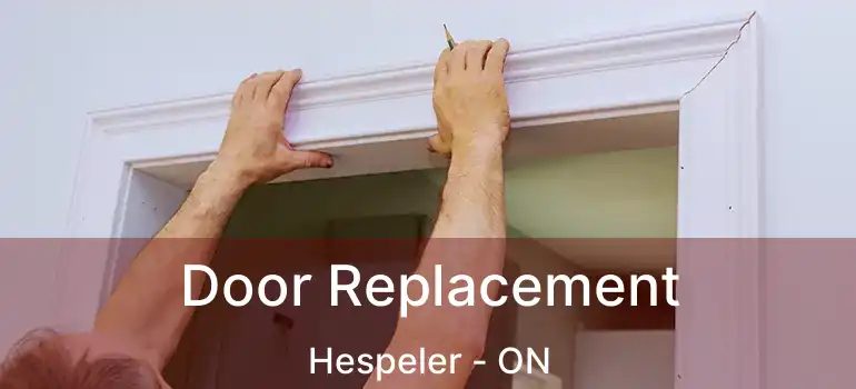  Door Replacement Hespeler - ON
