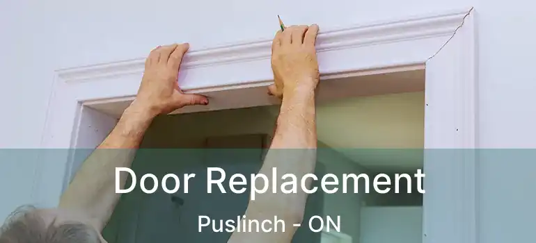 Door Replacement Puslinch - ON