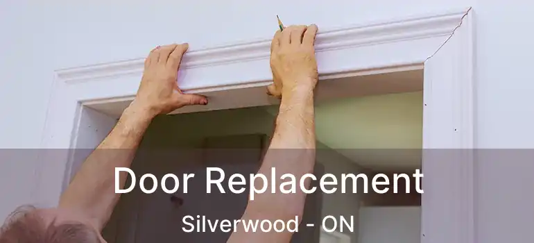  Door Replacement Silverwood - ON