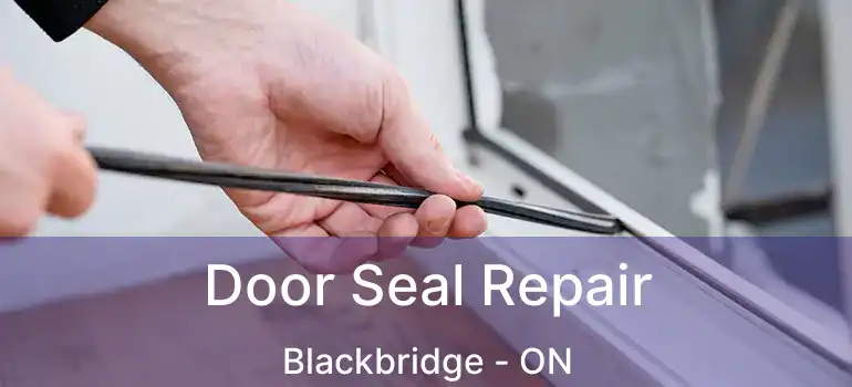  Door Seal Repair Blackbridge - ON